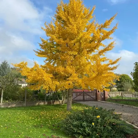 La Pommeraie 76 Bed & Breakfast