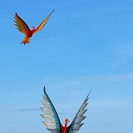 Bed & Breakfast La Pommeraie 76 3*