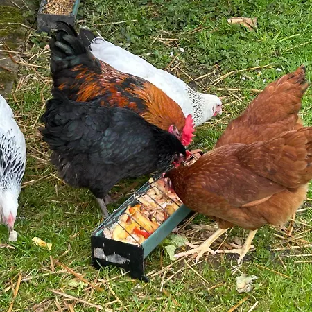 Bed & Breakfast La Pommeraie 76 Saint-Ouen-sous-Bailly