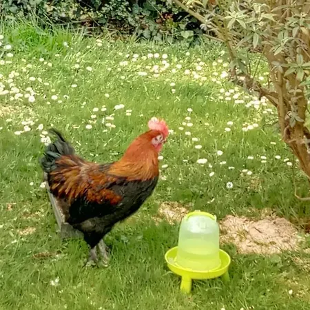 La Pommeraie 76