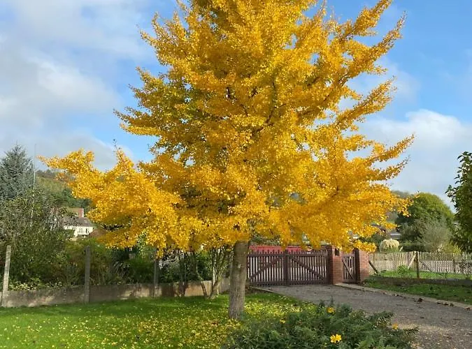 La Pommeraie 76 Bed & Breakfast