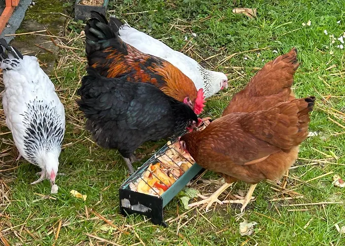 Bed & Breakfast La Pommeraie 76 Saint-Ouen-sous-Bailly